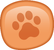 Orange paw pebble