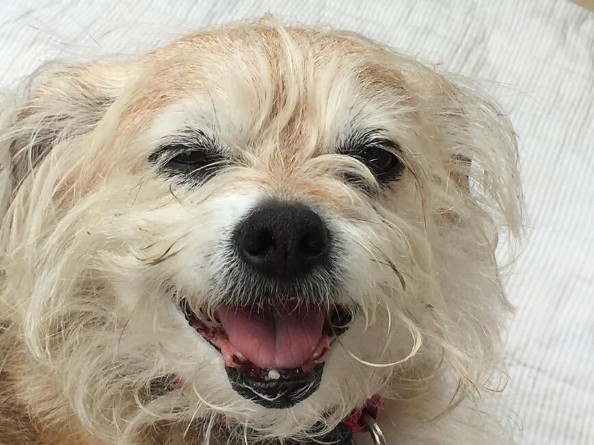 05EA1BBB-89FD-4C97-993A-67868963F3A2