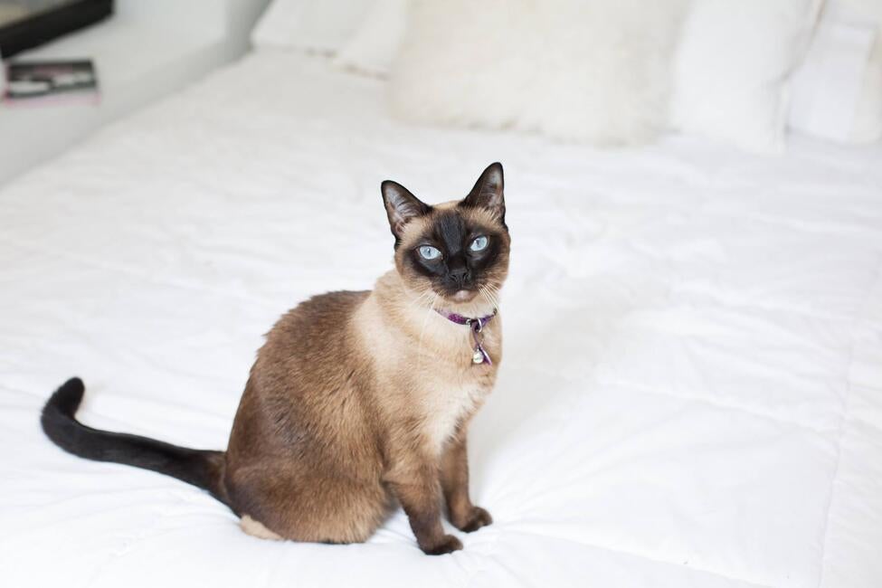 15325256_10207903064318040_2456884515886211209_o