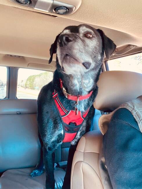 75C2A978-4857-475F-AE52-A6F172EFC636