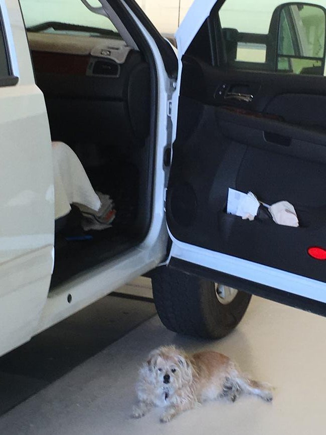 C1DAF566-A9FD-4FA8-939E-A2D78564129E