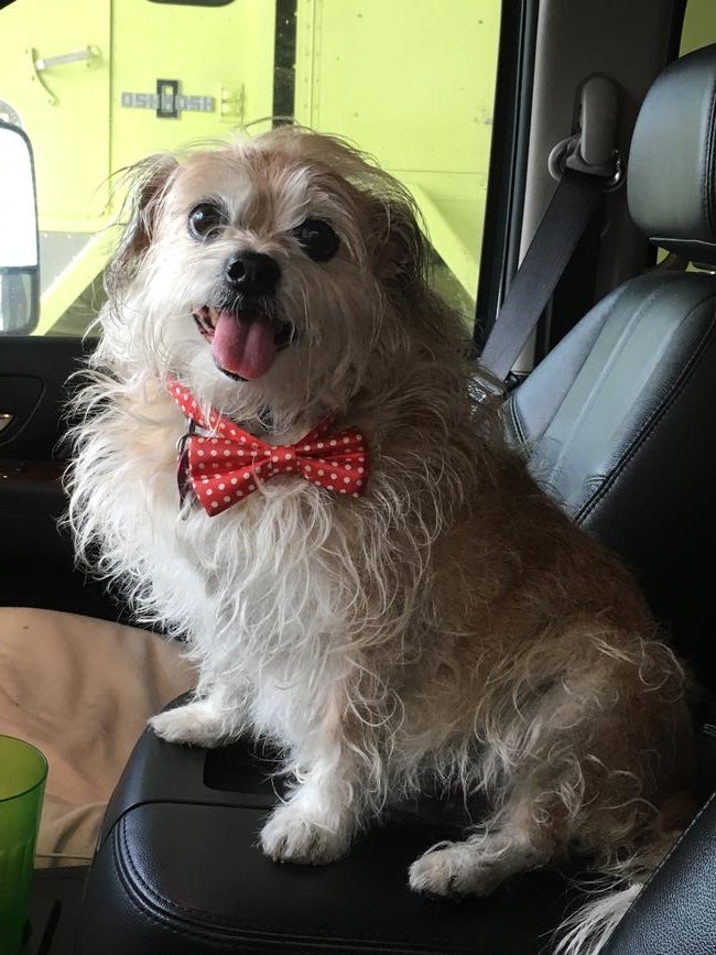 FFC53491-52C1-45D9-BC4B-85D591724D9C