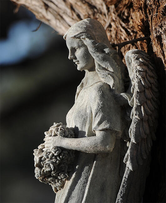 Memorial_Angel_main