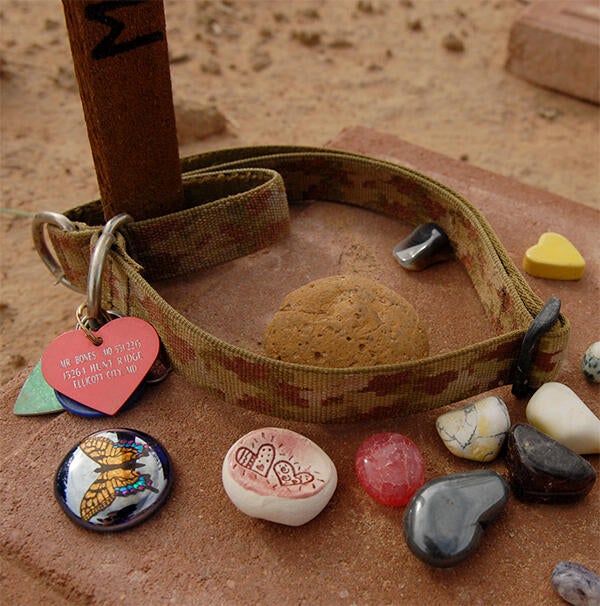 Memorial_Collar_main