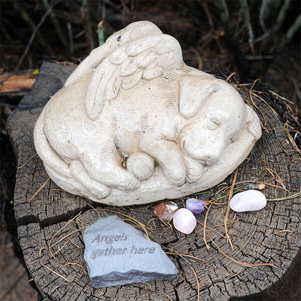 Memorial_DogAngel_main