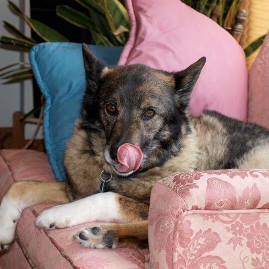 Bella%20McDannel-Firth