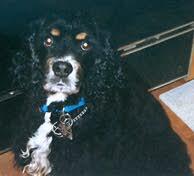Charlie0909