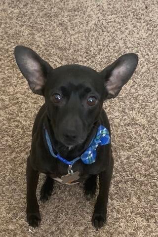 1579c5f0-ff6a-4fc8-b195-825ec9937f5b