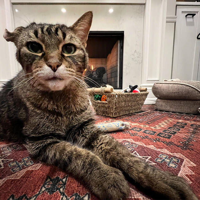 15C32805-73B9-4E33-8866-47FAA6AC7832