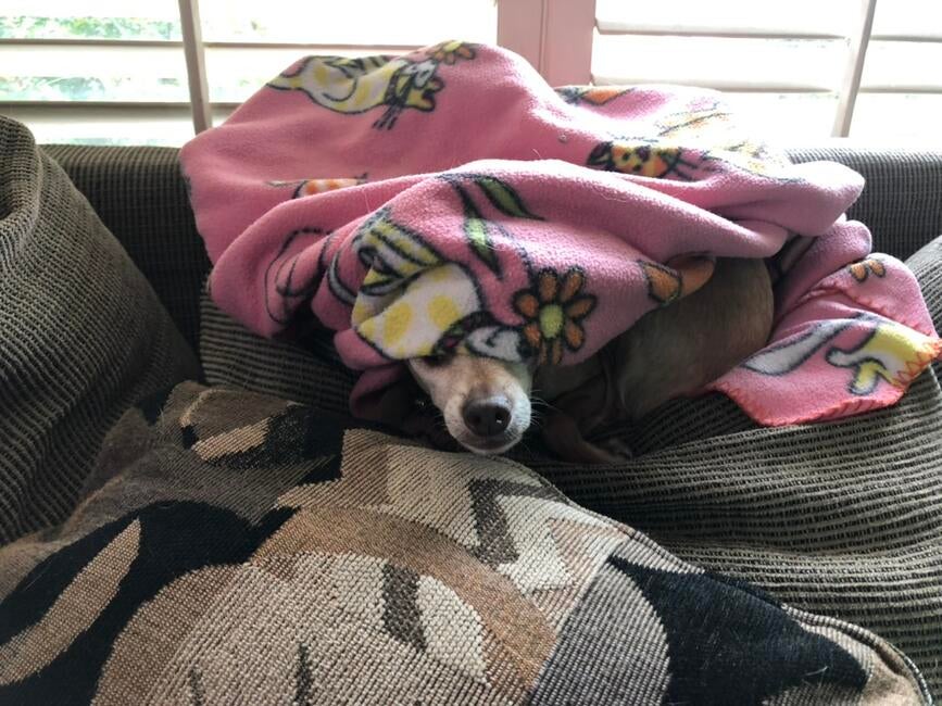 1909FDC8-2ACA-441C-A04C-940C2D137457_1_105_c