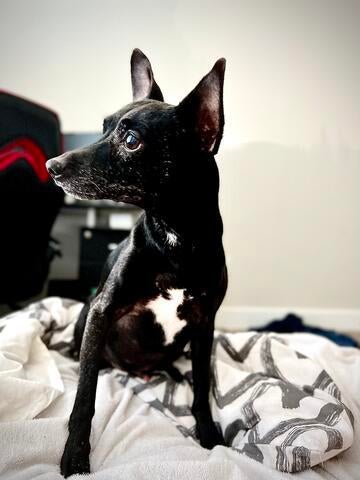 26c994ff-9576-4887-8a5a-388f7968ce38