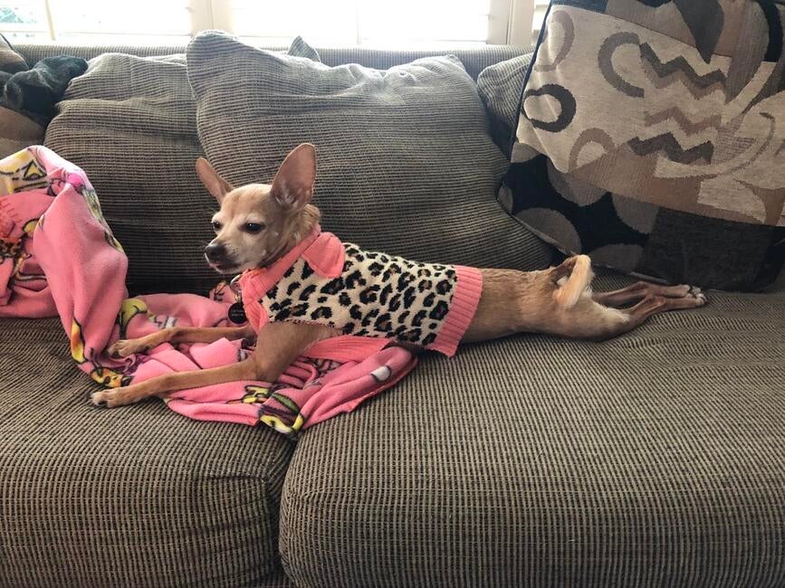 3EF4D8C7-4F4B-402A-8ED6-8FA59CCB8415_1_105_c