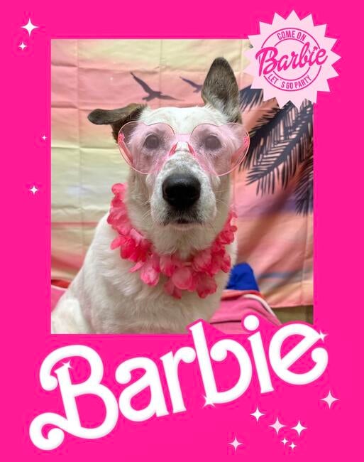 40BDDA2E-6C4A-483D-81C2-D145A004EF25