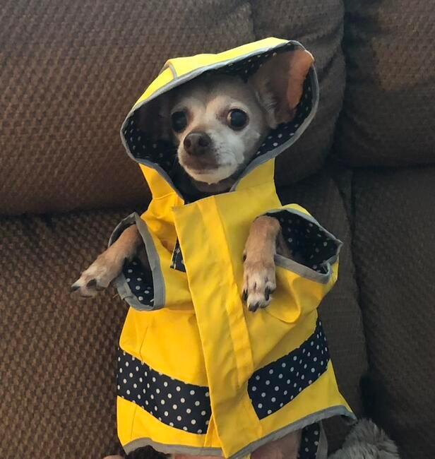 505FE9FA-F9DE-4440-AE41-260C40082F14_1_105_c