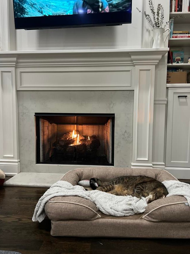 66390503123__69B882E8-89B2-4FA6-93C1-062A0EE16F75