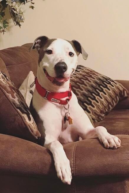 6CBC5103-6648-4DF6-81E4-DC394292977A