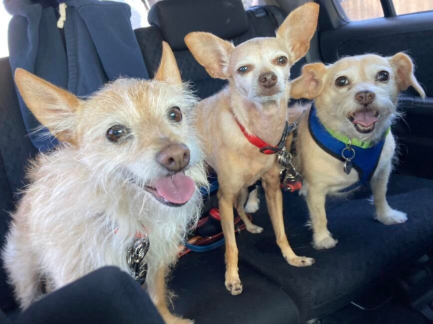 6FBDD550-9E11-456F-95BC-1735352CD669_1_105_c