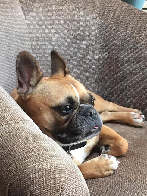 708D7532-0437-4874-90BB-A16A508F3087_1_105_c