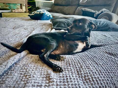 73d0ed82-08ae-4de0-9021-a21af353f919