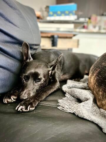 7d2e4e16-3e04-477c-87b3-869af22bb13a