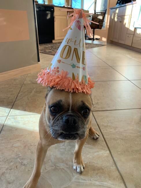 80FC8A55-3F95-41A4-8C07-30BE1AE571E2_1_105_c