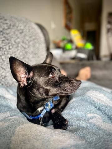 88163b24-98fa-43e6-8aa8-259f4cd4a0f8