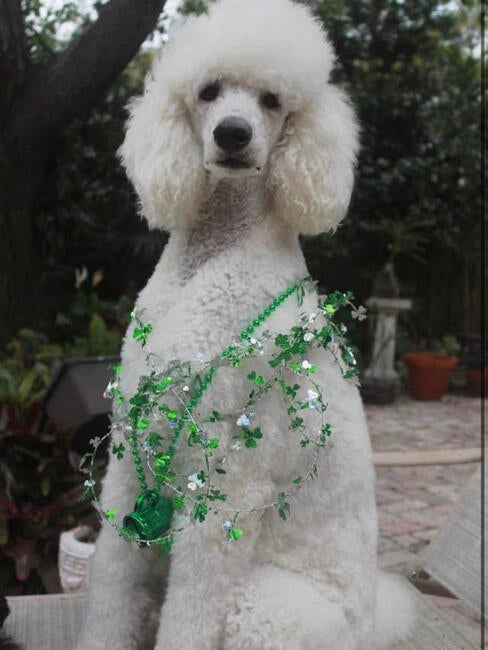 8D64A763-CAE9-4520-9727-9DF11303C6C8