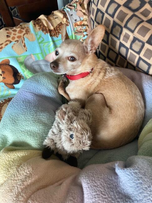 BE682185-C8A9-4877-9EDA-BEF933C38F3F_1_105_c