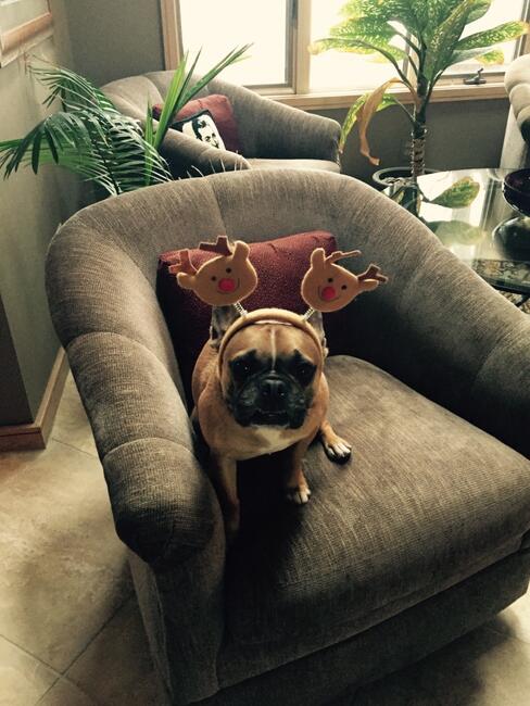 F15D803F-57F1-4BB2-A85E-BE2022C19D9C_1_105_c_0