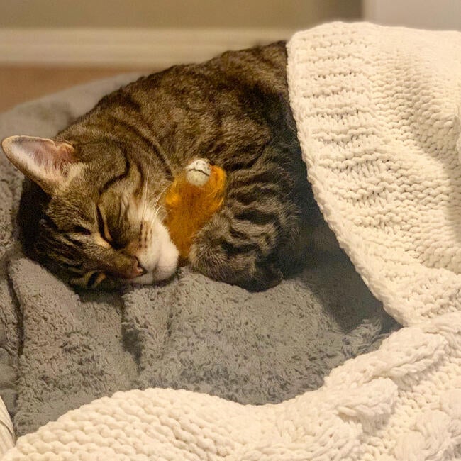 F3DA37D7-45EF-4C38-AF91-482AE5080D14