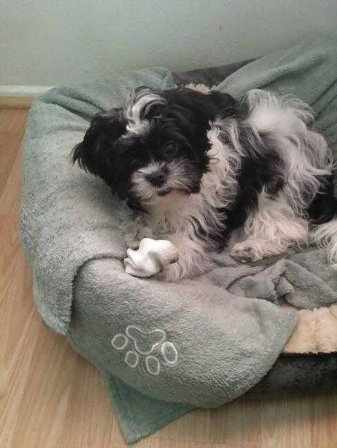 FB_IMG_1745079034707