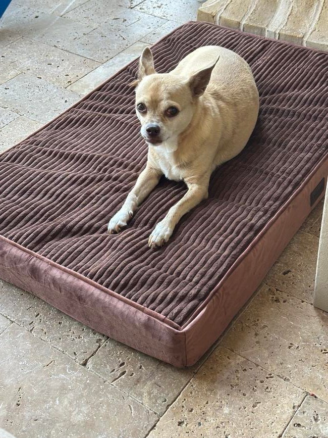 Lola4