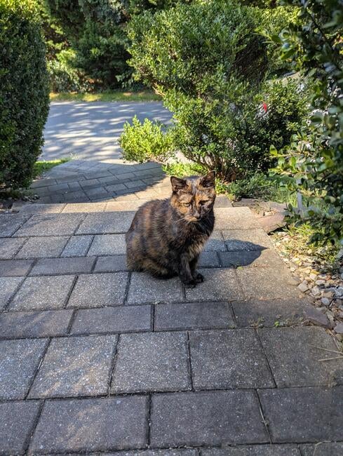 PXL_20250901_191129378