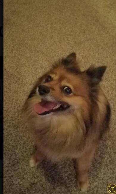 Screenshot_20260203_135428_Messages