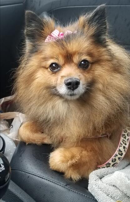 Screenshot_20260203_135514_Chrome