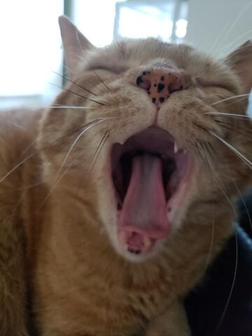 _storage_emulated_0_download_resized_20190726_151209_0