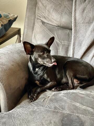 e768a5d2-914a-4edf-b62b-e3655b6eea62