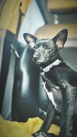 feb27d7d-182d-494e-af04-44a06b38d016