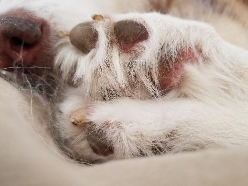 kayleigh-ashlyn-morrow-0