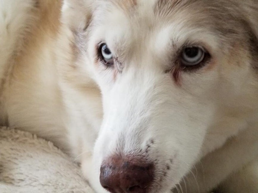 kayleigh-ashlyn-morrow-1