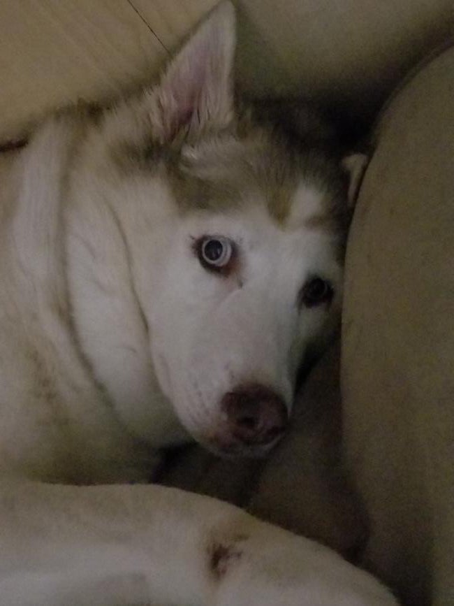 kayleigh-ashlyn-morrow-2