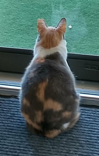 img_20220208_090304961_hdr~2