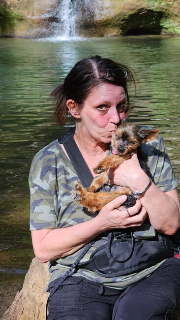 80ab6803-1a0e-42ba-a234-14ec31867f22