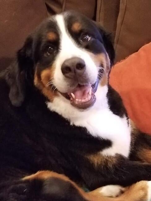 20200717_184230---copy