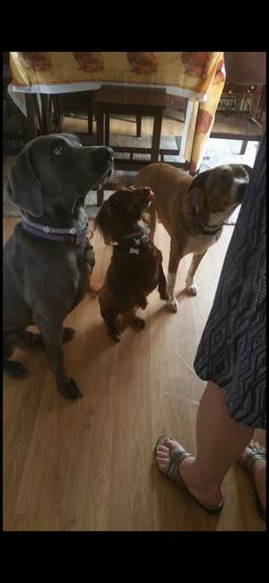 fc178c6d-f118-4223-aedf-e0be90942890_1_101_o