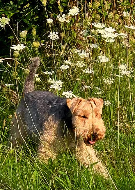 6efdb1f6-2db2-494b-89aa-03f27e8b9f0d-1_all_21593