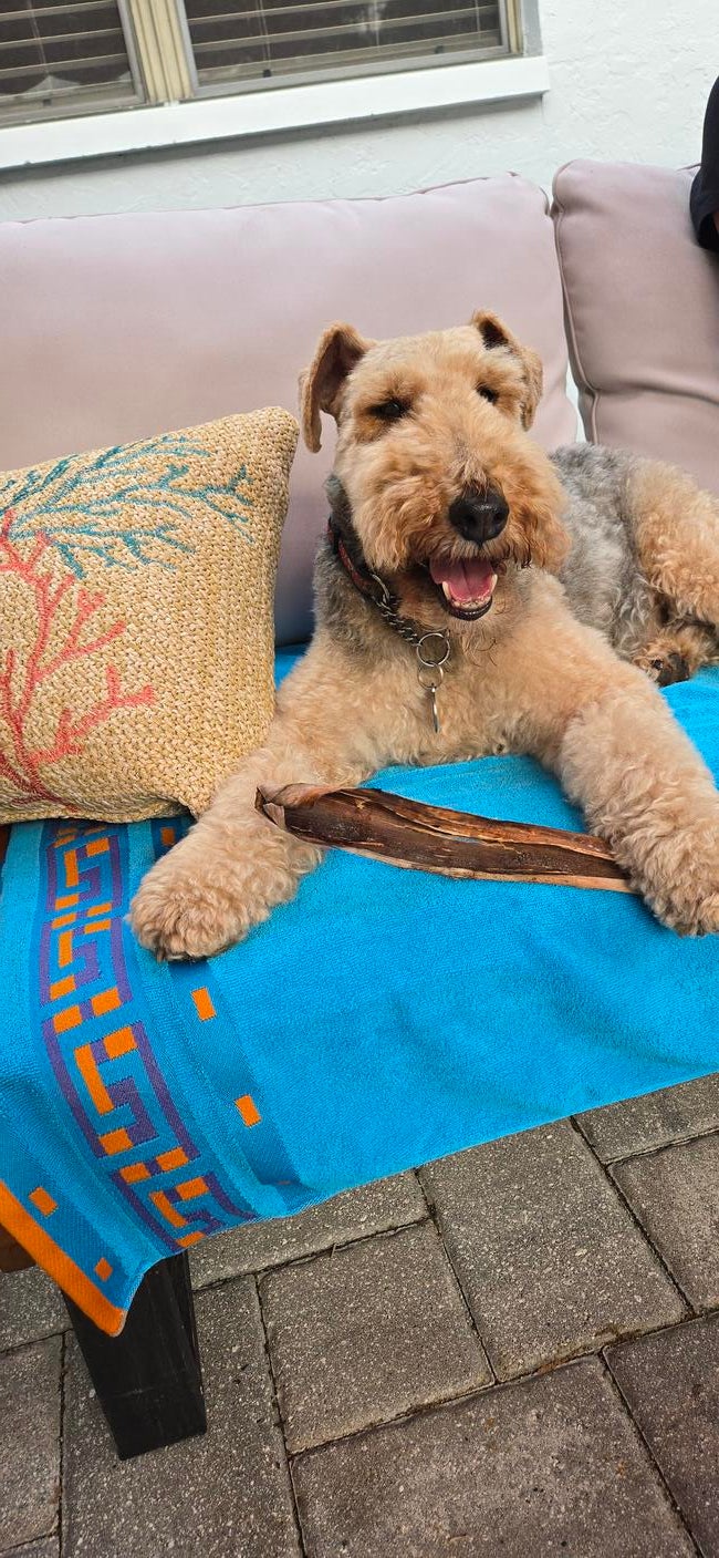 6efdb1f6-2db2-494b-89aa-03f27e8b9f0d-1_all_22066