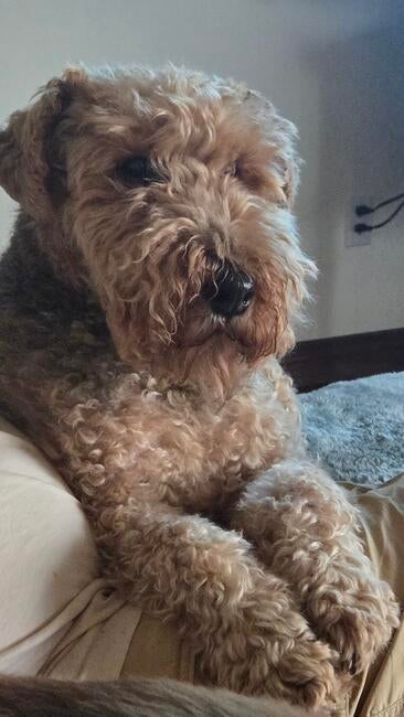 6efdb1f6-2db2-494b-89aa-03f27e8b9f0d-1_all_23852