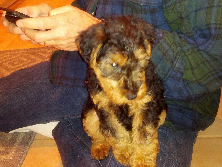 6efdb1f6-2db2-494b-89aa-03f27e8b9f0d-1_all_2671