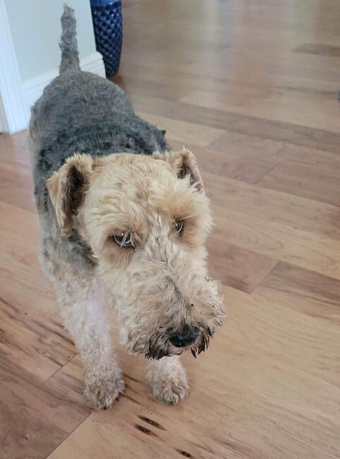 6efdb1f6-2db2-494b-89aa-03f27e8b9f0d-1_all_2861